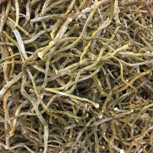 鐵皮干石斛條新鮮條野生鐵皮霍山石斛鐵皮楓斗云南干花