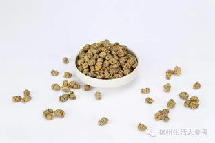 今日福利 鮮吃干吃都好的高品質鐵皮石斛,來自云南天然的味道