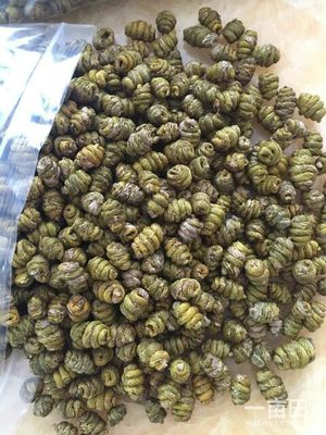 浙江溫州市樂清市鐵皮楓斗 楓斗批發(fā)_徐國兵供應(yīng)_一畝田農(nóng)業(yè)網(wǎng)