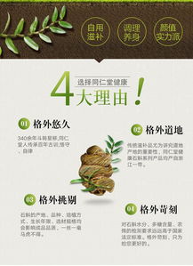 北京同仁堂鐵皮石斛楓斗干條80g鐵皮楓斗石斛鮮條加工膠質飽滿