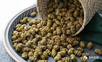 楓斗的 正確打開方式 ,了解一下