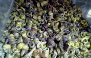 批發(fā)供應(yīng)鐵皮楓斗