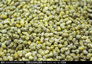 鐵皮楓斗的益處與應用