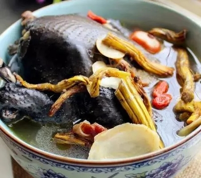 鐵皮楓斗的吃法與最佳效果